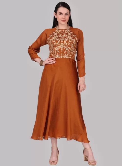 Ruddy Brown Fancy Gown